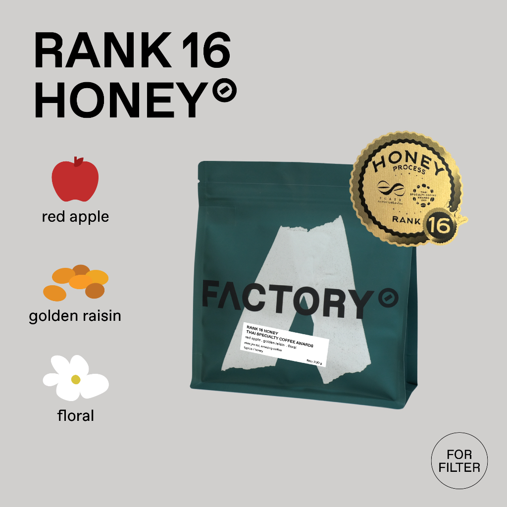 Factory Coffee เมล็ดกาแฟ RANK16 (SCATH) Mae Jan Tai - Amazing Coffee (Typica) l Honey Process (บรรจุ