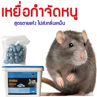 เหยื่อกำจัดหนู Strom โฟลคูมาเฟน ขนาด 100 เม็ด กำจัดหนูตายแห้ง ไม่มีกลิ่น ใช้งานง่าย แค่วาง ไม่ต้องผสมอาหาร สตฟ้า