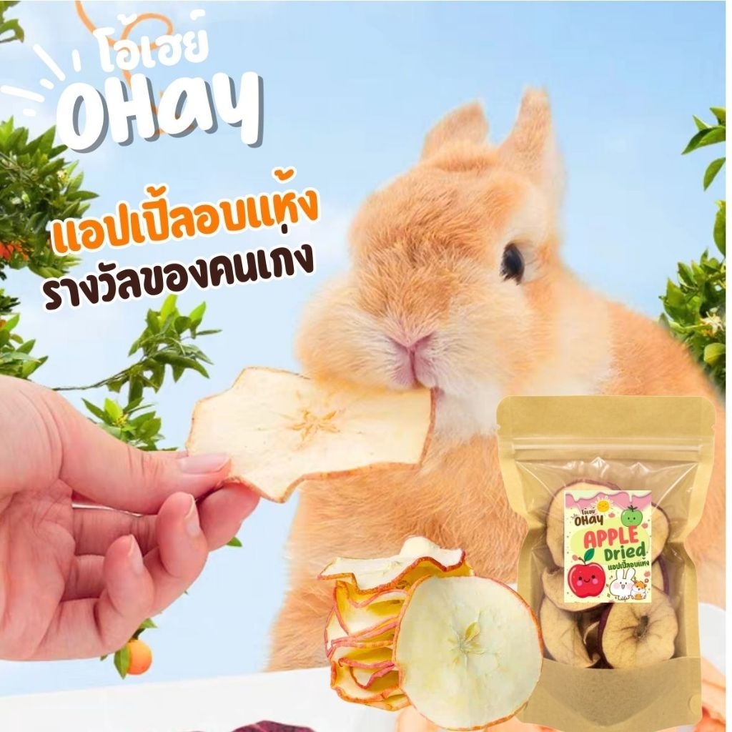 🍏🍎Ohay แอปเปิ้ลอบกรอบ ผลไม้เพื่อสัตว์ฟันแทะ ขนมกระต่ายขนมแกสบี้ 45 กรัม