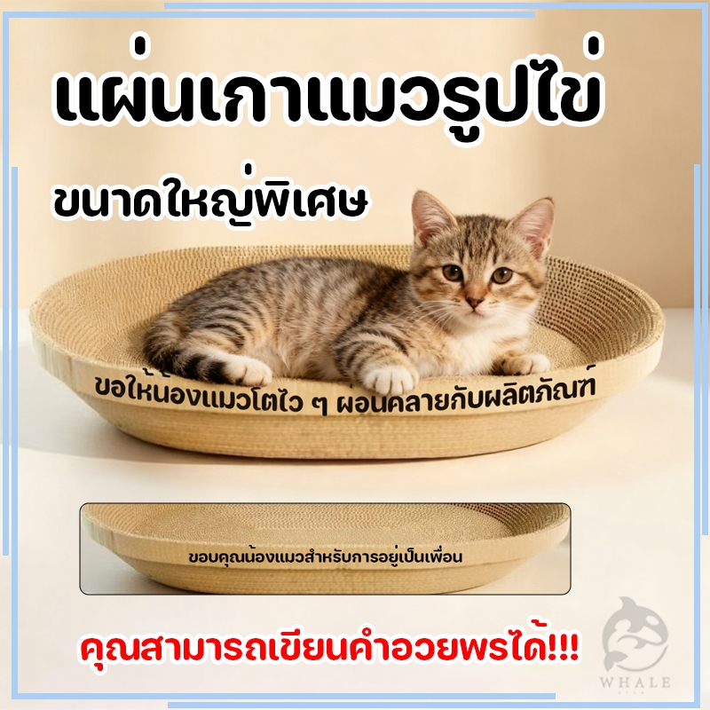 yoyopet : ที่ลับเล็บแมว+แคทนิป อ่างลับเล็บ ของเล่นแมว ที่นอนแมว แผ่นลับเล็บ ที่ฝนเล็บสัตว์เลี้ยง