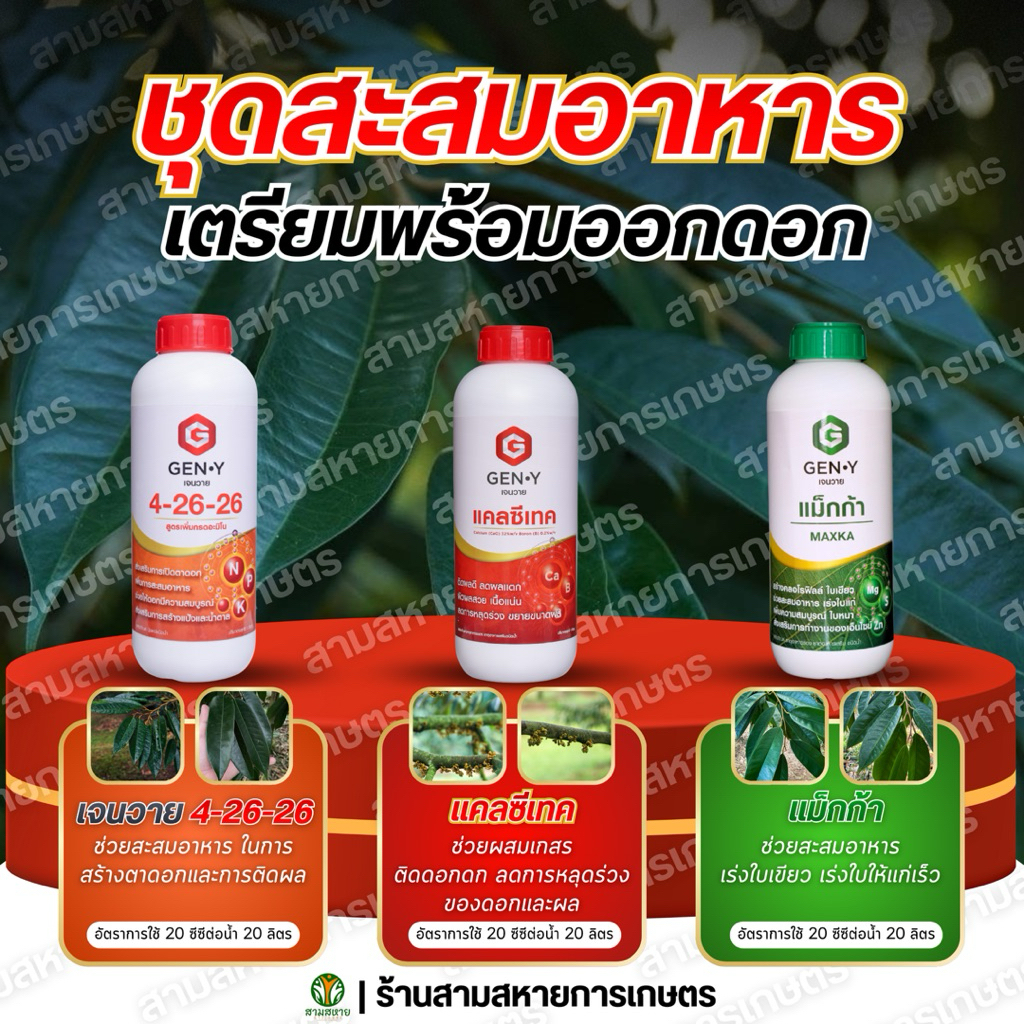 ชุดสะสมอาหารGen-Y : ช่วยให้ใบหนา ใบเขียวเข้ม สะสมแป้งและน้ำตาลเตรียมพร้อมการออกดอก [ขนาด1ลิตร มีจำนวน3ขวด]