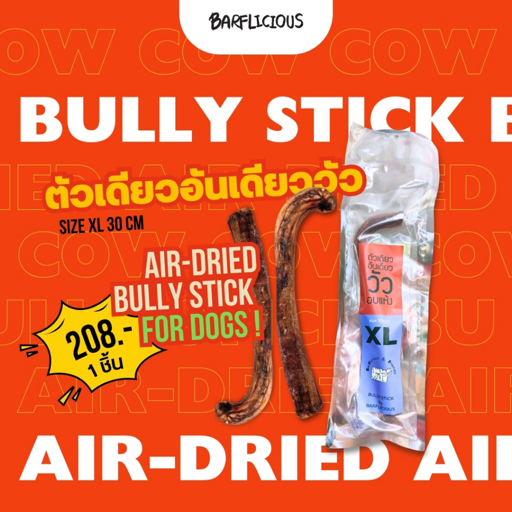 ตัวเดียวอันเดียววัว BULLY STICK(COW) size XL 30 cm