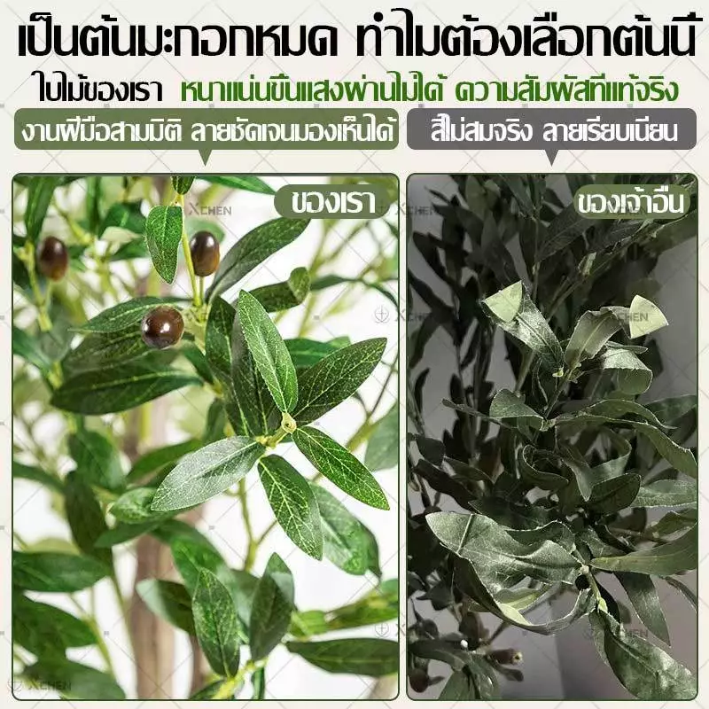 ต้นโอลีฟปลอม ต้นมะกอกประดิษฐ์ ลำต้นเหมือนจริง ตกแต่งบ้าน thumbnail 3
