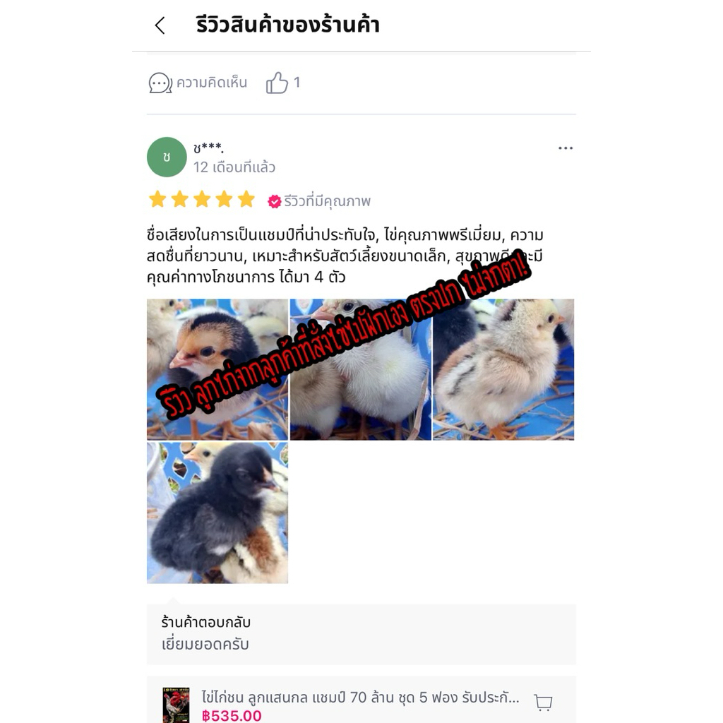 ไข่เชื้อไก่ชน ลูกกุมารจีน รับประกันเชื้อ จัดส่งด่วนทั่วประเทศ ราคา ถูกที่สุด ดีลบีเคเค แกลเลอรีภาพที่ 8