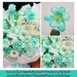 DLY สีย้อมดอกไม้, สารดูดซับสี, สีย้อมดอกไม้, เป็นมิตรต่อสิ่งแวดล้อมสำหรับร้านดอกไม้, ไม่ทำลายความสดของดอกไม้ 300 ml.
