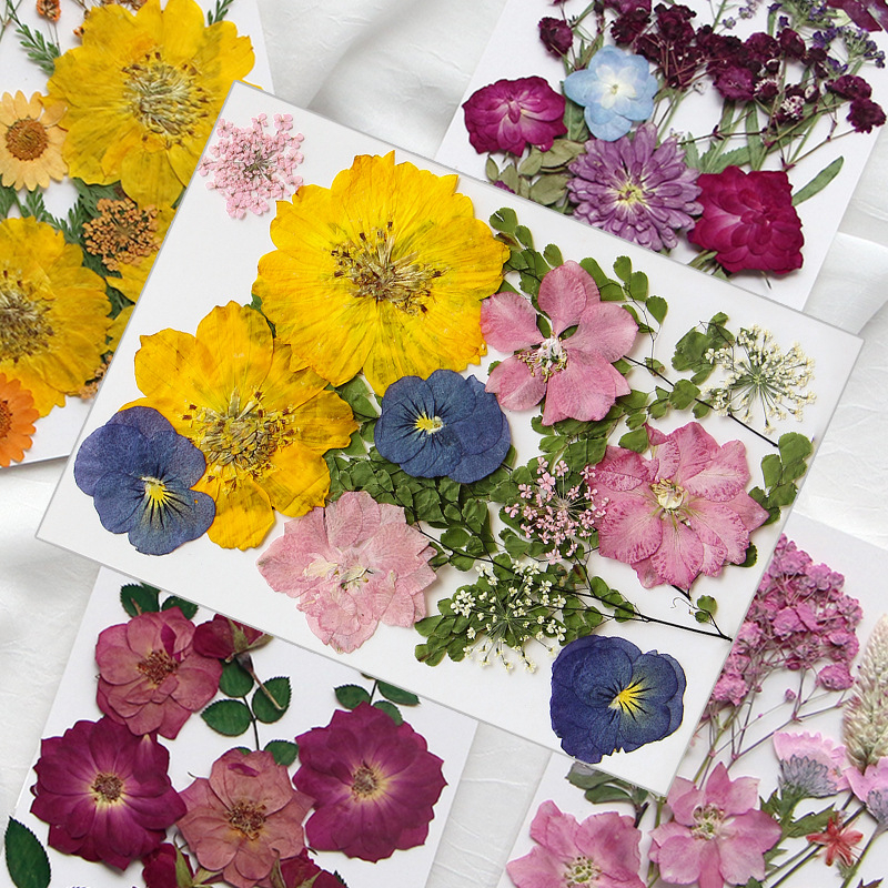 【 🌸🍀 มีหลายสไตล์ให้เลือก 】15 ชิ้นต่อแพ็คดอกไม้แห้งลายนูนทำด้วยมือวัสดุ DIY สำหรับหยดกาวเรซินวัสดุทำด้วยมือ