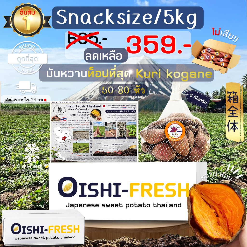 Oishi-Fresh ยกลัง 5 กิโลกรัม Snack มันหวานญี่ปุ่นสายพันธุ์ Okinawa ปลูกไทย เนื้อเหลือง หวาน อร่อย. จ
