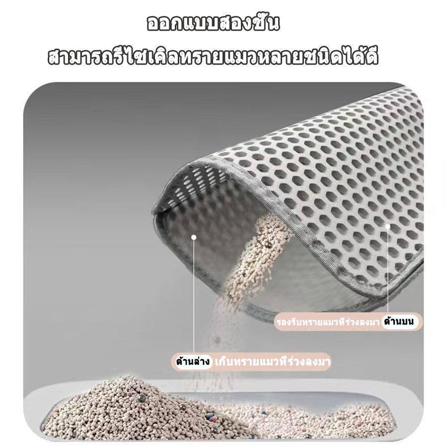 รูปภาพ 4