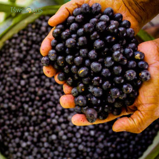 ผงอาซาอิ มีอย. แท้ ไม่ผสมแป้งและน้ำตาล แบรนด์ไร่พระจันทร์ MOONFARMS ผงอาซาอิแท้ อาซาอิสกัด อาซาอิผง อาซาอิ Acai powder