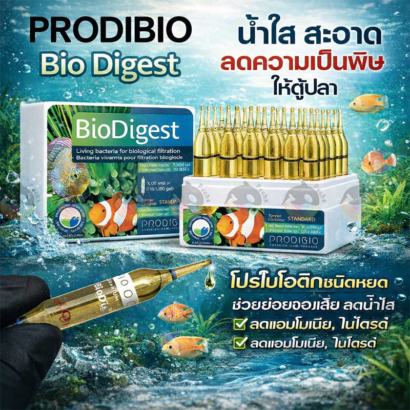 Prodibio BioDigest แบคทีเรีย บำบัดน้ำ ลดแอมโมเนีย ไนไตรท์ 1หลอด ใช้ได้น้ำจืดและน้ำเค็ม