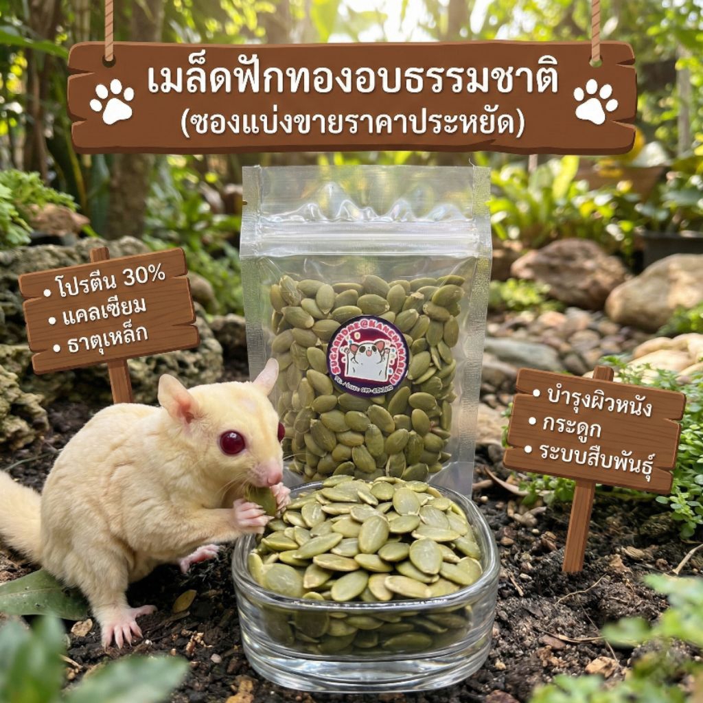 เมล็ดฟักทอง อบธรรมชาติ 400กรัม