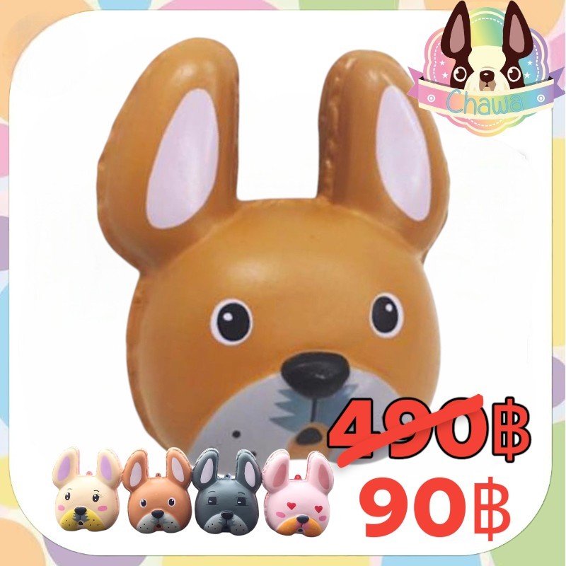 🚚พร้อมส่งจากไทย⭐🌈สกุชชี่เฟรนมาการอง ของChawa (🍭Sale สินค้ามือ 1 มีตำหนิเนื่องจากเก็บมานาน❗)