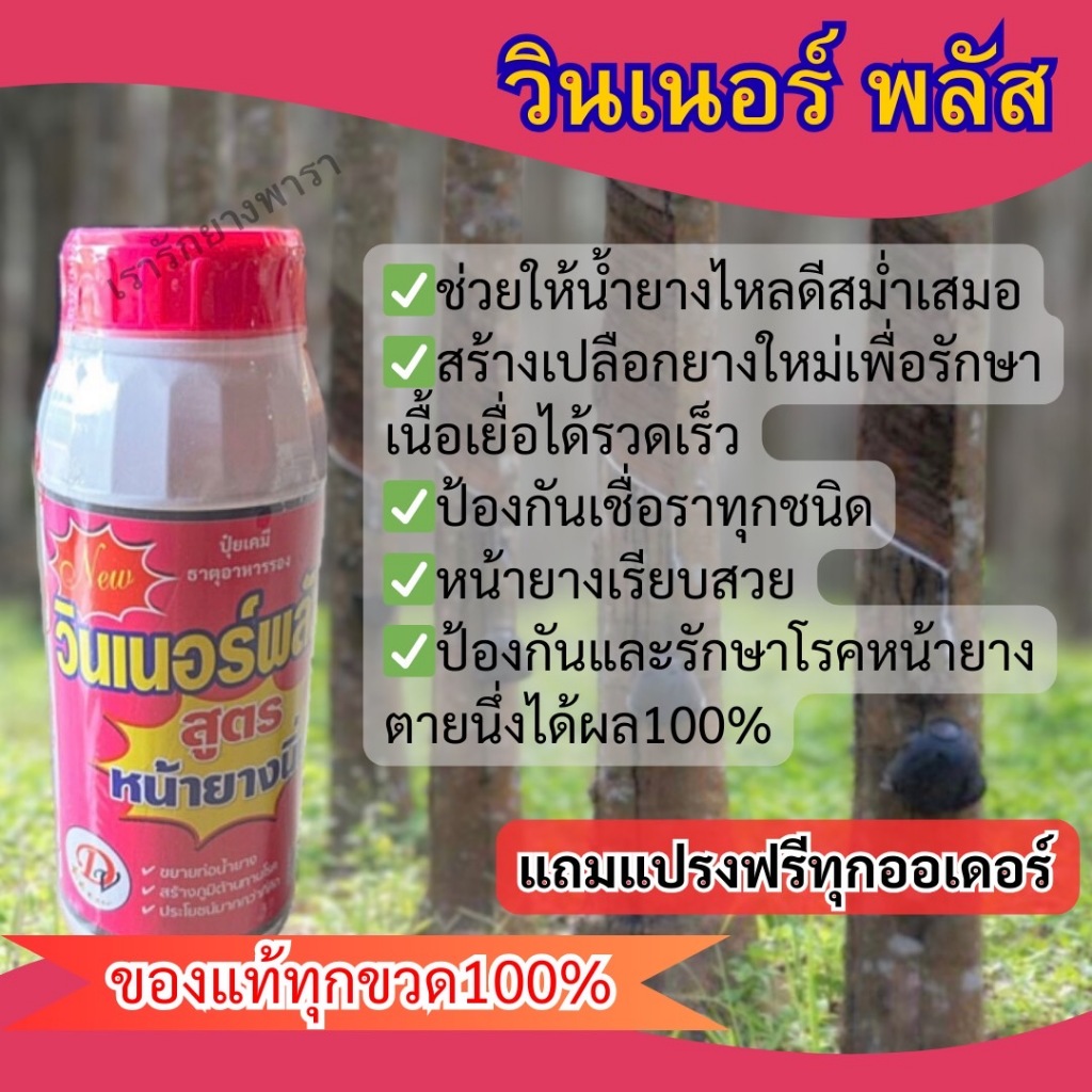 วินเนอร์ พลัส สูตรป้องกันเชื้อราทุกชนิด ( แถมแปรงฟรีทุกออเดอร์ )