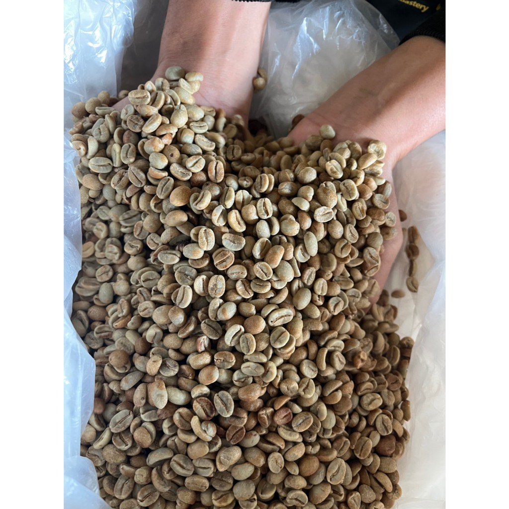 สารกาแฟพม่า ฮันนี่ Myanmar (Honey Process)  Arabica