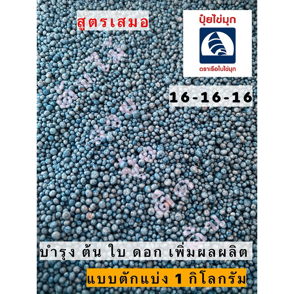 ปุ๋ย ตราเรือใบ 16-16-16 ❌สีเขียว❌ (แบบตัก 1 กิโลกรัม)เร่ง ดอก ผล ต้น ใบ พร้อมส่ง