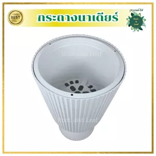 กระถางนาเดียร์ ขนาด 9.5 นิ้ว กระถางพลาสติกแข็งแรงและทนทาน ไม่แตกหักง่าย มีน้ำหนักเบา เคลื่อนย้ายได้สะดวก