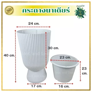 กระถางนาเดียร์ ขนาด 9.5 นิ้ว กระถางพลาสติกแข็งแรงและทนทาน ไม่แตกหักง่าย มีน้ำหนักเบา เคลื่อนย้ายได้สะดวก