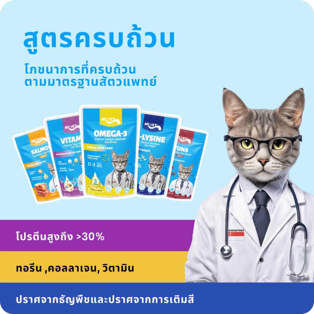 MRVET อาหารเปียกแมว 12ซอง ไม่ใส่สารปรุงแต่ง thumbnail 8