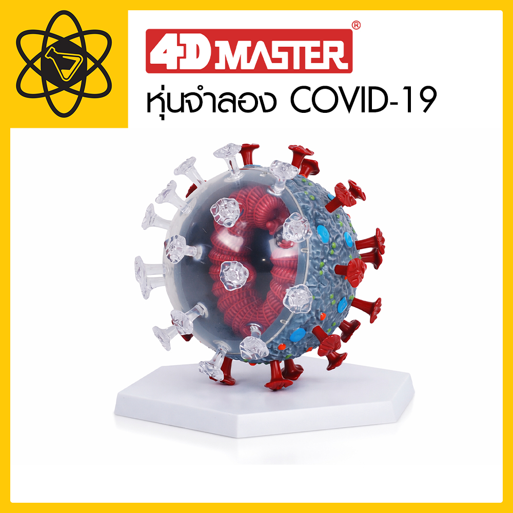 4D Vision หุ่นจำลอง COVID-19