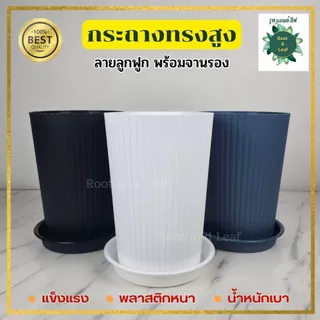 กระถางทรงสูงลายลูกฟูก พร้อมจานรอง มีทั้งหมด 3 ขนาดและมี 3 สี กระถางแข็งแรง พลาสติกหนาอย่างดี น้ำหนักเบา แต่งบ้านแต่งคอนโ