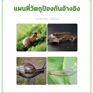 ยาป้องกันและขับไล่หอยทากจากธรรมชาติ ปลอดภัยสำหรับสัตว์เลี้ยงและเด็ก ใช้ได้กับผักสลัด สตรอว์เบอร์รี ไม้อวบน้ำ 100g