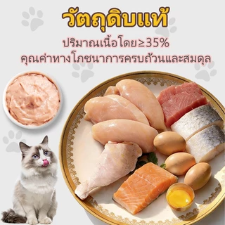 【🔥100 ชิ้นคุ้มสุด】Plendy 15g แถบแมว ขนมแมวเลีย ขนมแมว เนื้อเนียนนุ่ม ผสมหลายรส