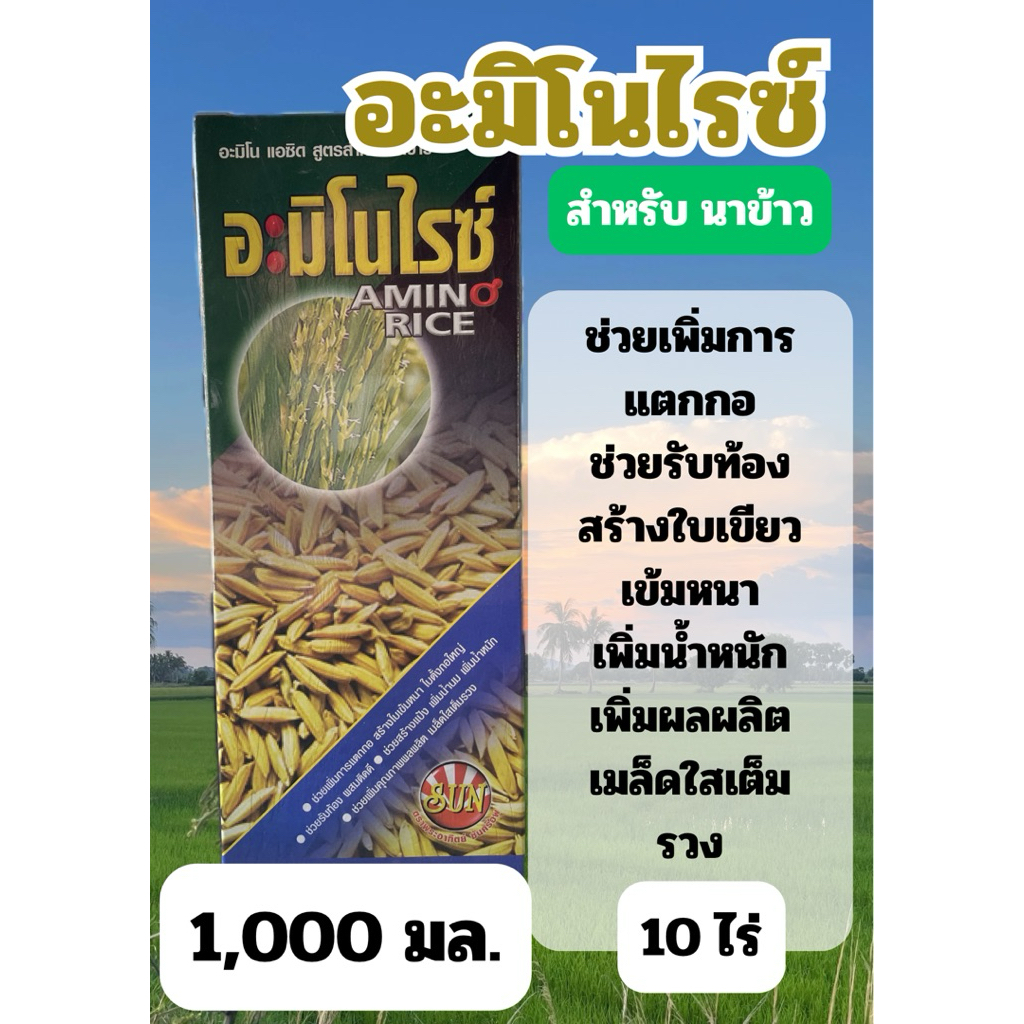สูตรสำหรับ นาข้าว (แตกกอ ใบเขียว รับท้อง เพิ่มผลผลิต)  อะมิโนไรซ์ ขนาด 1000 มิลลิลิตร