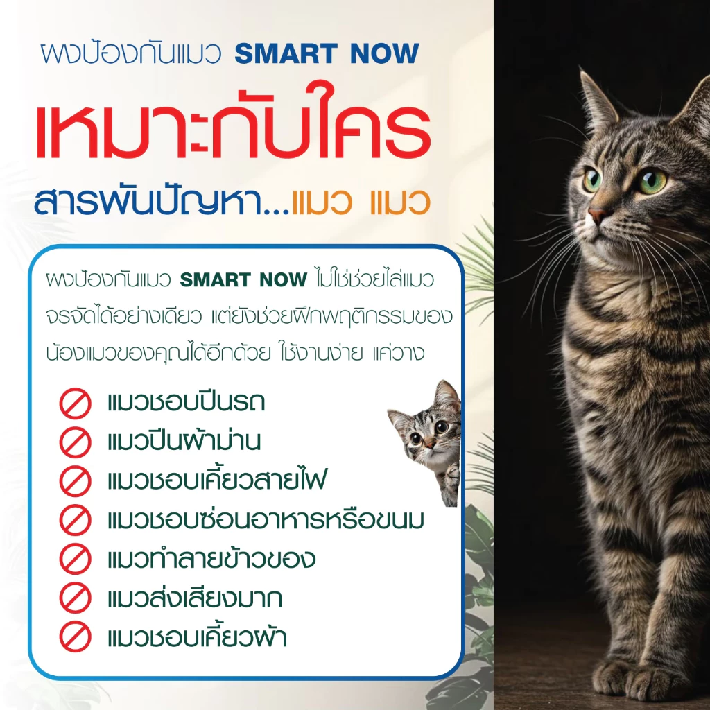 ไล่แมว แมวจร น้ำยาไล่แมว ผงไล่แมวยุคใหม่ thumbnail 6