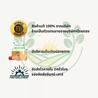 แมกนีเซียมซัลเฟต (แบ่งบรรจุ 1กก.) แก้ ใบเหลืองซีด ช่วยสร้างคลอโรฟิลล์ → ใบเขียวเข้ม มีกำมะถันช่วยเรื่องรากและการดูดธาตุ