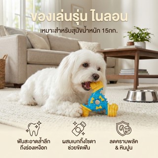 [แบรนด์แท้ USA🇺🇸] Arm and Hammer Nubbies ของเล่นสุนัข TriO B…