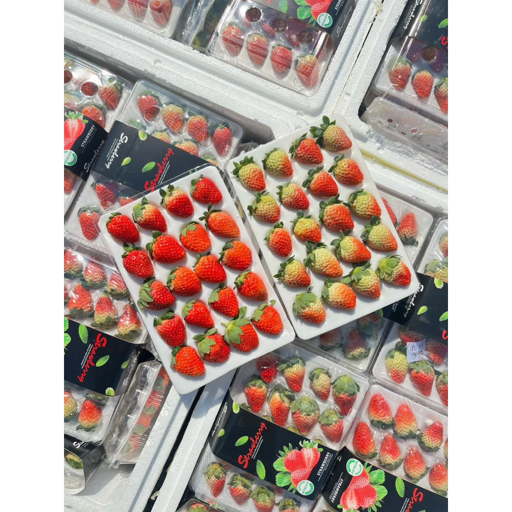 ส่งด่วน 4 ชม. สตอเบอร์รี่จีน สตอเบอร์รี่นำเข้าจากประเทศจีน แพ็คละ 20 ลูก หวานอมเปรี้ยว น้ำหนัก 350 กรัม ตู้ใหม่ สวย สด