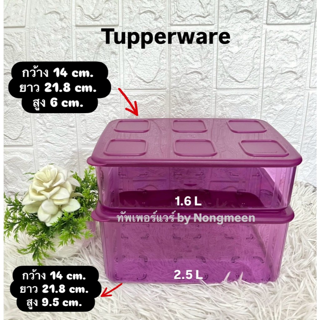 Tupperware Fresh n' Clear Large กล่องผักผลไม้ 1.6L / 2.5L (1ใบ) สีม่วง