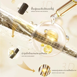 🔥1+1 Care Set🔥 SAFEMILD แชมพูปลูกผม + ครีมนวดผม ลดผมร่วง ปกปิดผมหงอก สมุนไพร บำรุงซ่อมแซมผมเสีย