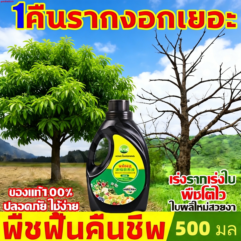 ปุ๋ยน้ำ สารเร่งราก ฮอร์โมนเร่งรากออกฤทธิ์เร็ว 500 มล. ช่วยกระตุ้นการเจริญเติบโตของรากอย่างรวดเร็ว เพิ่มพื้นที่ผิวราก ลดก