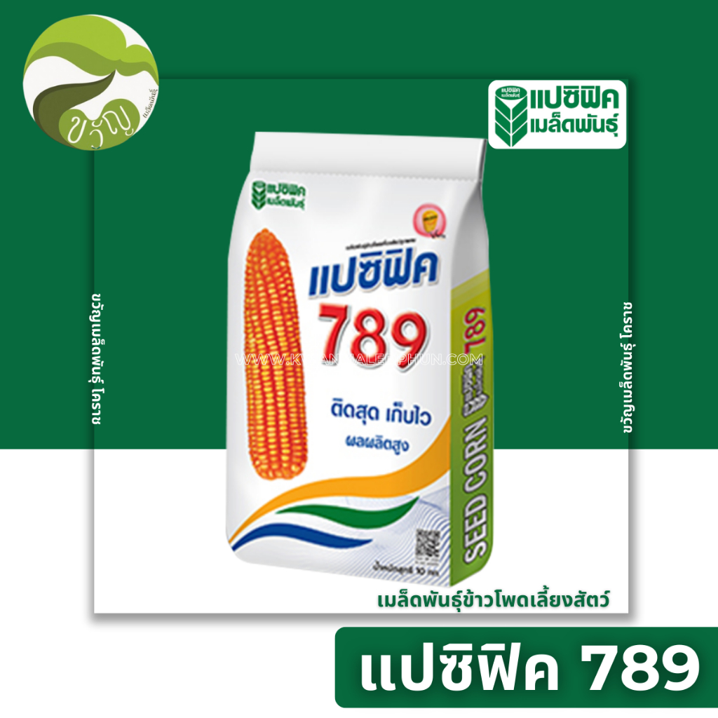 ข้าวโพดเลี้ยงสัตว์ แปซิฟิค789  ขนาดเมล็ด 3.5หุน ลอตใหม่