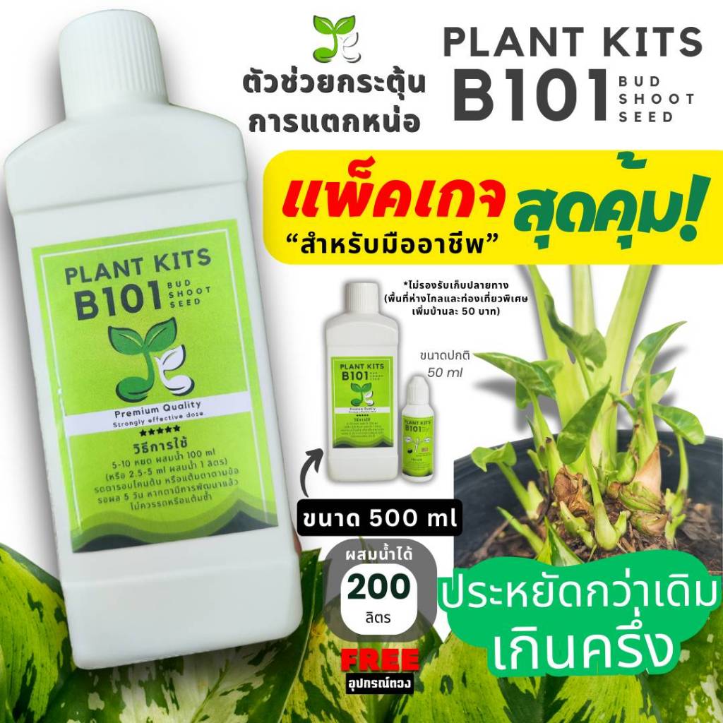 B101 เร่งหน่อ เร่งตา เห็นผลใน 7 วัน ไม้ด่าง ไม้ฟอกอากาศ โคโล บอน กวักมรกต เสน่ห์จันทร์ Plant Kits