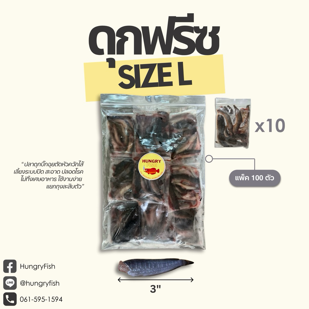 อาหารปลา-สัตว์กินเนื้อ ปลาดุกฟรีซ Size L (3") เนื้อล้วน | เลี้ยงระบบปิดสะอาดปลอดภัย