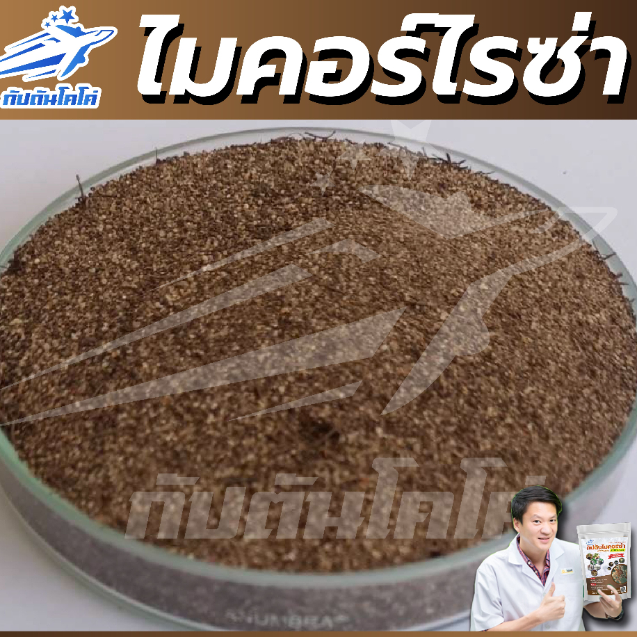ไมคอร์ไรซ่า กัปตัน สูตรเข้มข้น เชื้อ 2 เท่า อัพอาหารเชื้อ (500กรัม)  เพาะเชื้อจาก LAB ปลอดภัย 100% รูปที่ 2