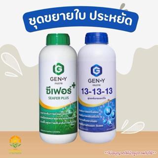 ชุดขยายใบ 2 ขวด เจนวาย (ซีเฟอร์ พลัส/เจนวาย 13-13-13) ช่วยขย…