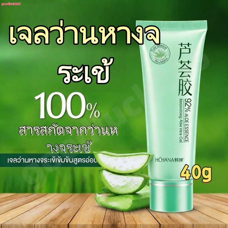 เจลว่านหางจระเข้ 40 กรัม: ลดสิว ซ่อมแซมและปลอบประโลมผิว อุดมด้วยคอลลาเจน และให้ความชุ่มชื้น เหมาะสำหรับผิวแพ้ง่ายและเป็น – โปรปัง