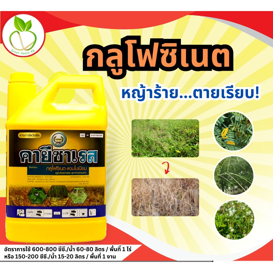 คายีซาเรส ขนาด 4 ลิตร กลูโฟซิเนต-แอมโมเนียม กำจัดวัชพืชทุกชนิด