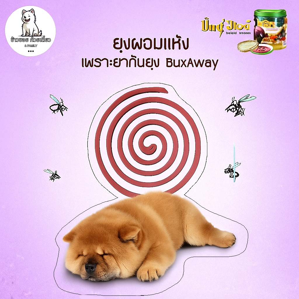 Buxaway refill บักซ์อเวย์ ยาจุดกันยุงสำหรับสุนัข(ชนิดรีฟิว)