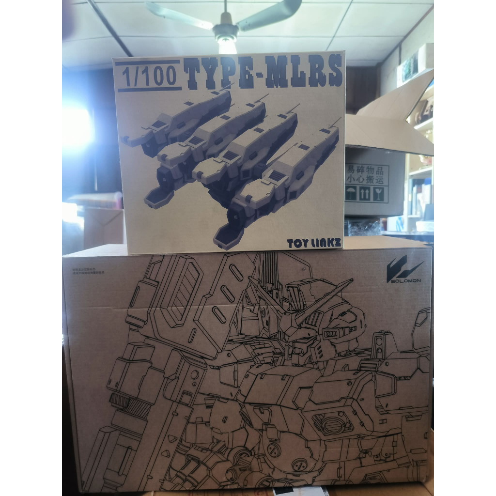 Solomon MG 1/100 GP02 Physalis