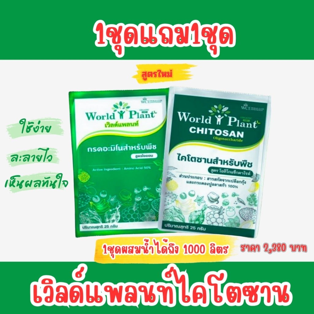 คู่หูมหัศจรรย์เวิลด์แพลนท์ไึคโตซาน 1ชุดแถม1ชุด