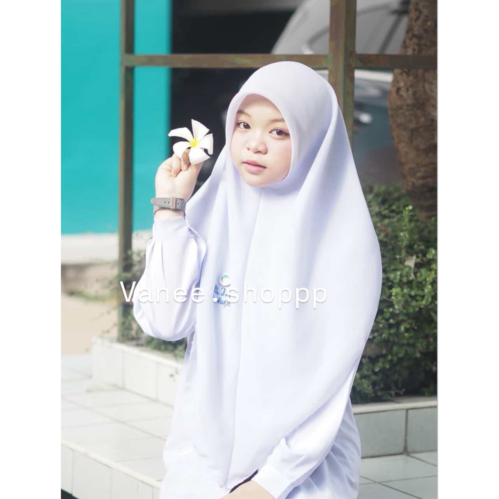 รูปภาพ 8