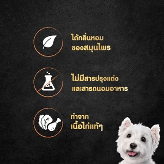 CESAR อาหารเปียกสุนัข วัตถุดิบจากธรรมชาติ 60 กรัม (16 แพ็ก)