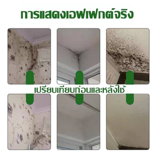 อัตราการฆ่าเชื้อสูงถึง99%ขจัดเชื้อราเต้นท์ เต็นท์สนามฉีดเดียวขจัดรา สเปรย์กำจัดเชื้อรา น้ำยากำจัดเชื้อราน้ำยาขจัดเชื้อรา