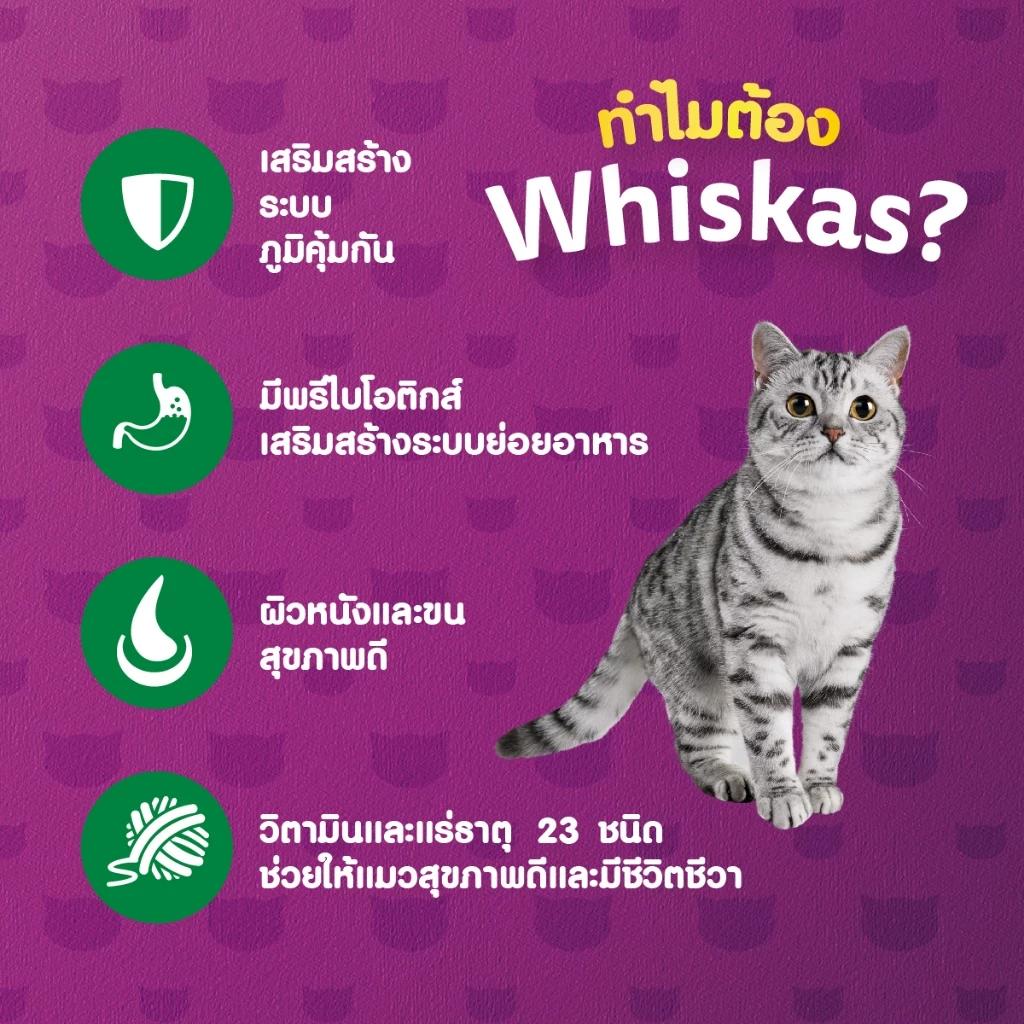 WHISKAS วิสกัส อาหารเม็ดแมวสำหรับแมวโต 3 กก. thumbnail 4