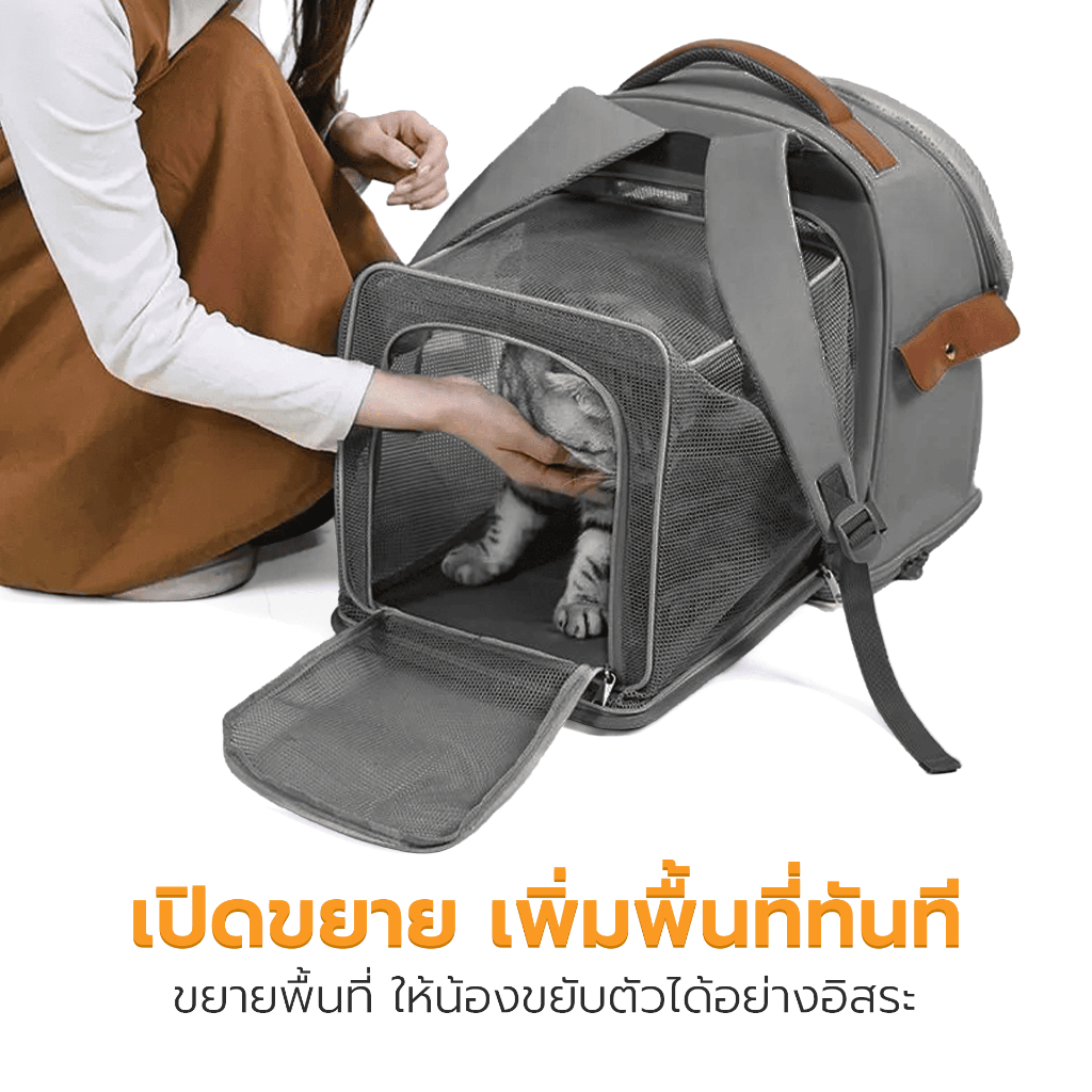 กระเป๋าสัตว์เลี้ยง กระเป๋าใส่แมว Pet Backpack carrier แผ่นรองนุ่ม ถอดซักได้ ระบายอากาศดี ลดความอับชื้น Petus pet รูปที่ 5