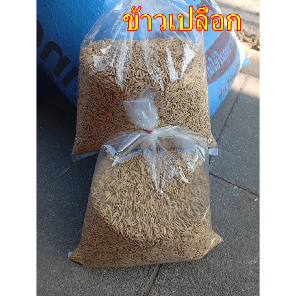 ข้าวเปลือก 10 กิโล ใช้สำหรับเลี้ยงเป็ด ไก่ ห่าน และสัตว์ปีก  ช่วยเพิ่มโปรตีนในสัตว์ทำให้เจริญเติบโตได้เร็ว - รูปที่ 4